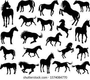 A set of high quality very detailed horses in silhouette in various poses and positions