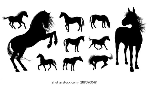 A set of high quality very detailed horses in various poses in silhouette