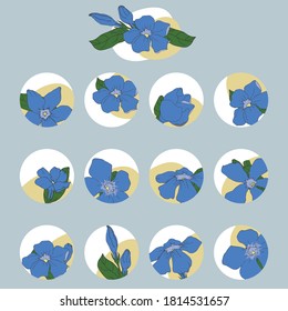 Set of highlights with blue flower vinca for social media design
