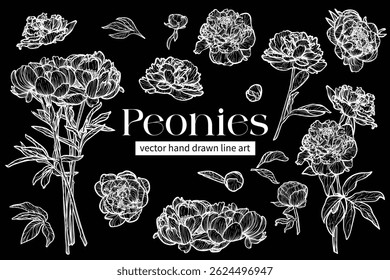 Set of highly detailed flowers. Trendy botanical elements. Hand drawn line leaves, stems and blooming. Wedding elegant peonies for invitation, save the date, card. White vector line art hand drawn.