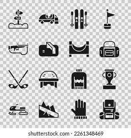 Set Hiking backpack, Award cup, Sport bag, Ski and sticks, Ice hockey goal, Biathlon rifle, Road traffic signpost and Skate park icon. Vector