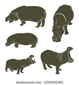 Set of Hippopotamus vector illustration design. Hippopotamus logo design Template.