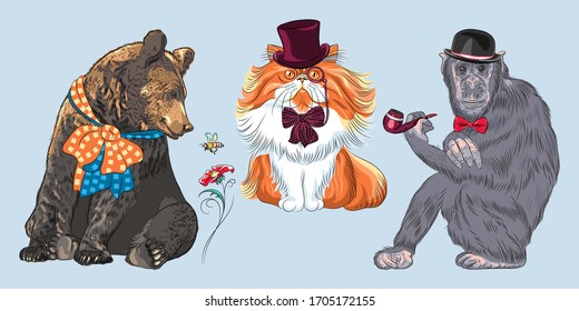Set of hipster animals. Monkey in Bowler Hat and bow tie with tobacco pipe, bear with bow, red fluffy Persian cat in hat, glasses and bow tie