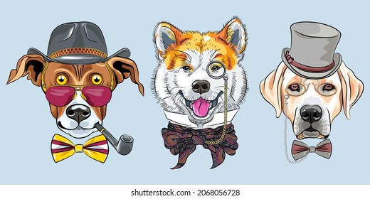 Set of hipster dogs in glasses and bow ties. Akita Inu, Greyhound in hat with tobacco pipe, Labrador Retriever in gray silk hat and pince-nez