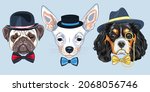 Set of hipster dogs in hats and bow ties. King Charles Spaniel with gold monocle, Chihuahua and fawn Pug