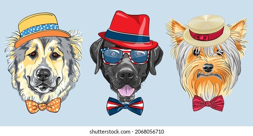 Set of hipster dogs in hats and bow ties. Caucasian Shepherd Dog, black Labrador Retriever in glasses and Yorkshire Terrier in Straw boater.