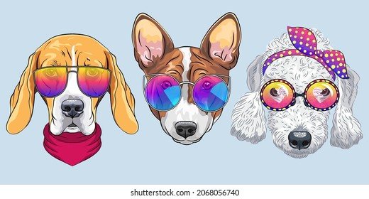 Set of hipster dogs in trendy multicolored mirror sunglasses and bow ties, Beagle, Basenji and Bedlington Terrier breed
