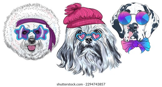 Set of hipster dogs in trendy multicolored mirror sunglasses, Star Disco Bichon, Lion Bichon and Harlequin Great Dane breed