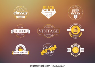 Set of Hipster Retro Badges, Labels, Logotypes. Vector Design Templates