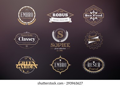 Set of Hipster Retro Badges, Labels, Logotypes. Vector Design Templates