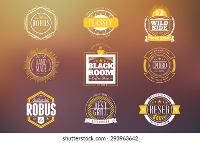 Set of Hipster Retro Badges, Labels, Logotypes. Vector Design Templates