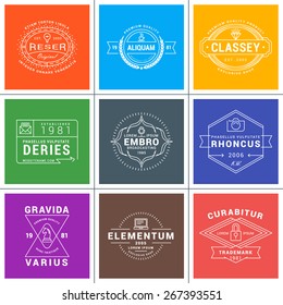 Set of Hipster Vintage Labels, Logotypes, Badges for Your Business. Thin Line Design Template