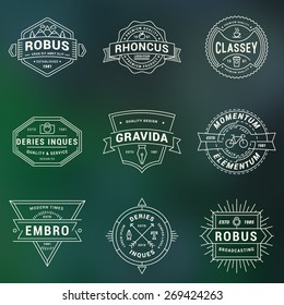 Set of Hipster Vintage Labels, Logotypes, Badges for Your Business. Thin Line Design Template