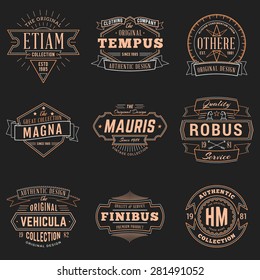 Set of Hipster Vintage Labels, Logotypes, Badges for Your Business