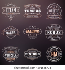 Set of Hipster Vintage Labels, Logotypes, Badges. Thin Line Design Templates on blurred background
