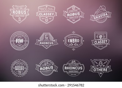Set of Hipster Vintage Labels, Logotypes, Badges. Thin Line Design Templates on blurred background