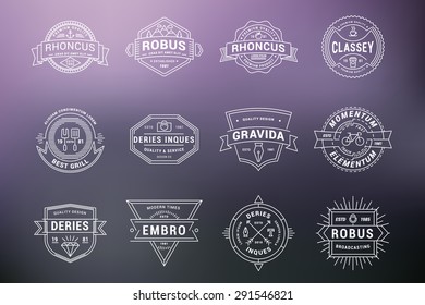 Set of Hipster Vintage Labels, Logotypes, Badges. Thin Line Design Templates on blurred background