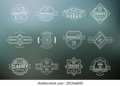 Set of Hipster Vintage Labels, Logotypes, Badges. Thin Line Design Templates on blurred background