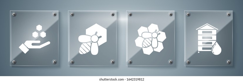 Set Hive for bees, Bee and honeycomb, Bee and honeycomb and Honeycomb and hand. Square glass panels. Vector