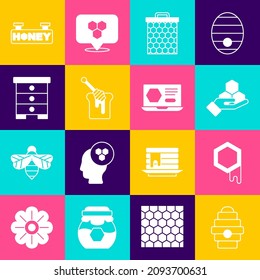 Set Hive for bees, Honeycomb, and hand, dipper stick with honey, Hanging sign honeycomb and online service icon. Vector