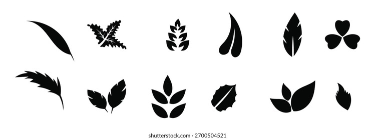Set of hojas vector illustration