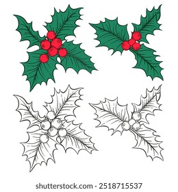 Set of Holly berry vintage hand drawn vector illustration on white background.