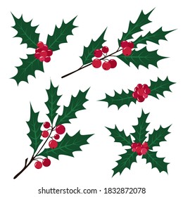 Set of Holly branches with red berries and leaves. Christmas traditional winter plant. Vector illustration isolated on white background. Flat cartoon design. For cards, posters, banners, invitations.