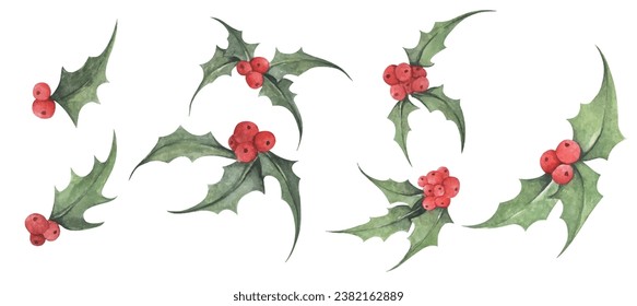 Set of Holly plant. Red Berries and Green Leaves. Botanical Illustration of Holly. Watercolor illustration. Christmas and New Year symbol decorative elements.