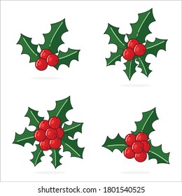 Set of Holly plants. Vector illustration for printing on a banner, poster, or postcard. Collection of decorative elements on new year and Christmas themes. 