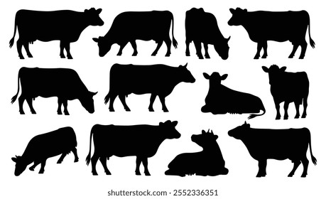 Set of Holstein Friesian cow silhouettes in various poses. isolated vector on white background.