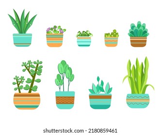 Está decorado con flores caseras. Arte vectorial
