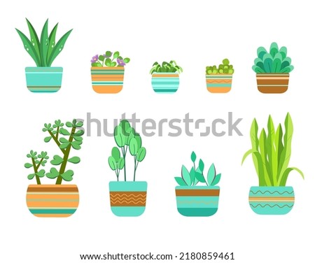 Set with home floral. Vector art