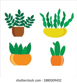 Set of home flowers and potted plants, home garden, collection of isolated elements on a white background. Flat style, cozy and warm . Vector illustration. Cactus green, aloe