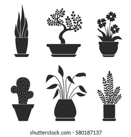 Set of home flowers. Vector illustration. Isolated on white.