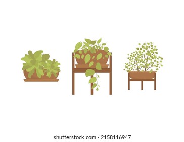 Set of home green plants in pots. Isolated. Flat style. Vector illustration