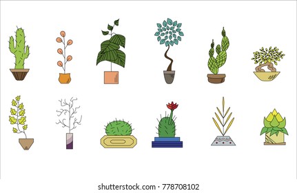 set home of the houseplants