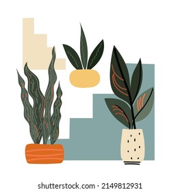 Set home plant boho colors nand drawn cartoon vector design.