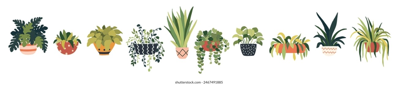 Set of home plant pot. Houseplant for interior office decor. Garden indoor plants, flowerpots. Green leaves flower jungle home. Vector illustration in flat cartoon style