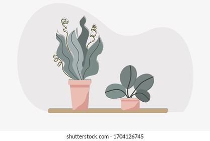 Set home plant in pots, ficus. Green natural decor for home and interior. Isolated vector illustration.