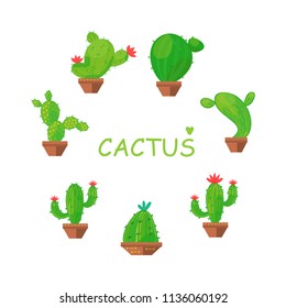 Set of home plants - cacti in pots. Vector isolated illustration