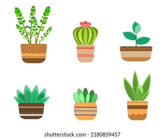 Set with home plants and cacti. Vector art