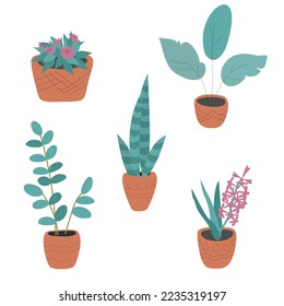 Set of home plants in ceramic pots. Vector illustration in hand drawn style. Pink flowers, hearts and leaves in pastel colors.