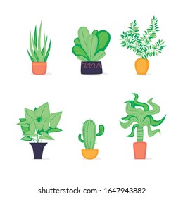 Set of home plants. Flat design vector illustration.