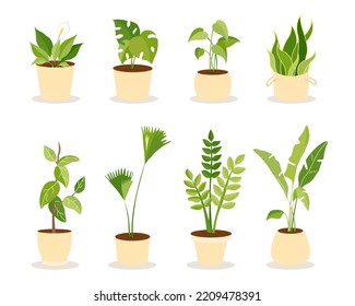 Set with home plants in flower pots. Urban jungle, home gardening. Hand-drawn vector illustration. Green leaves concept 