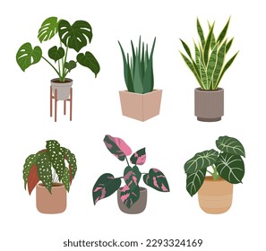 Conjunto de plantas en macetas de flores. Casas para la decoración moderna de la casa. Ilustración vectorial dibujada a mano aislada en fondo blanco, estilo de caricatura plana.