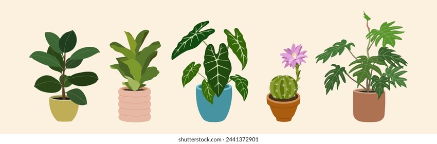 Set of home plants in flowerpots. Houseplants for modern home decoration. Hand drawn vector illustration isolated on light background, flat cartoon style.