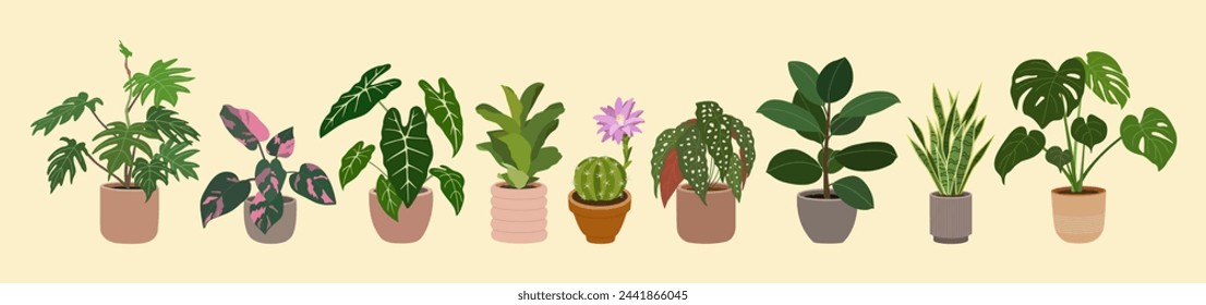 Set of home plants in flowerpots. Houseplants for modern home decoration. Urban jungle. Hand drawn vector illustration isolated on light background, flat cartoon style.