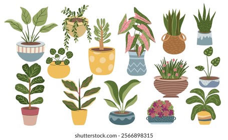 Set of home plants in flowerpots. Houseplants for home decoration. Urban jungle. Hand drawn vector illustration isolated on light background, flat cartoon style.