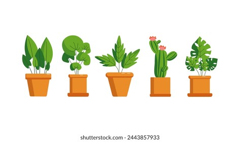 Set of home plants. Flowers in pots. Houseplant, potted plant. Cactus, leaves. Ceramic pot. Vector illustration on isolated background.