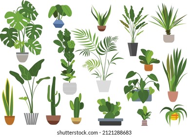 set of home plants. idea for interior design